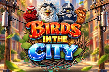 Birds in The City